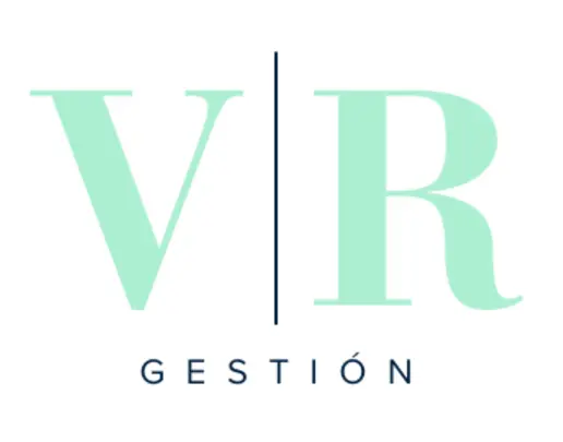 Vgestión